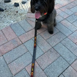 Dark Brown Leather Leash w/ yellow-green woven colors